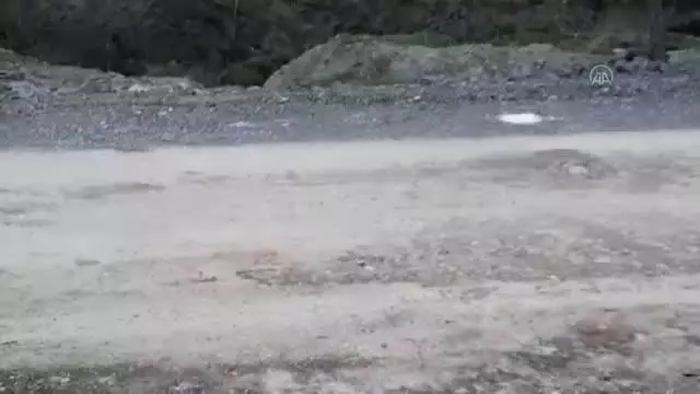 Son dakika gündem: Başkentte boş arazide çok sayıda ölü köpek bulundu Son dakika gündem: Başkentte boş arazide çok sayıda ölü köpek bulundu