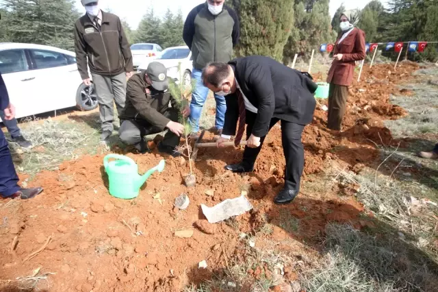 Son dakika haberleri! Beyşehir'de şehitler ve gaziler için orman fidanları toprakla buluşturuldu Son dakika haberleri! Beyşehir'de şehitler ve gaziler için orman fidanları toprakla buluşturuldu