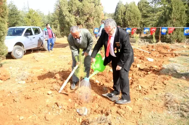 Son dakika haberleri! Beyşehir'de şehitler ve gaziler için orman fidanları toprakla buluşturuldu Son dakika haberleri! Beyşehir'de şehitler ve gaziler için orman fidanları toprakla buluşturuldu