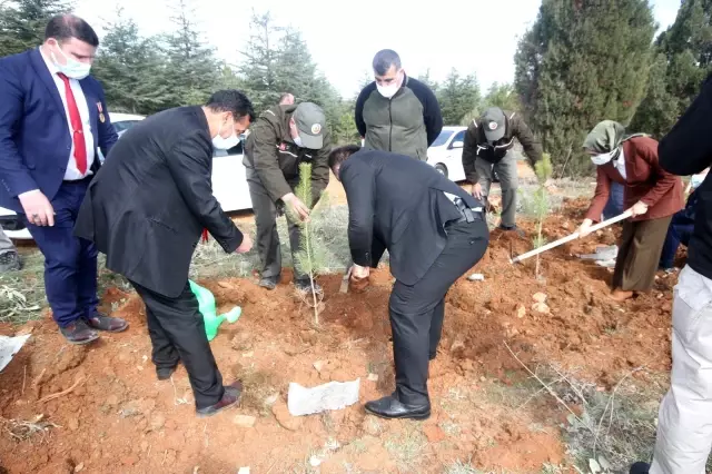 Son dakika haberleri! Beyşehir'de şehitler ve gaziler için orman fidanları toprakla buluşturuldu Son dakika haberleri! Beyşehir'de şehitler ve gaziler için orman fidanları toprakla buluşturuldu