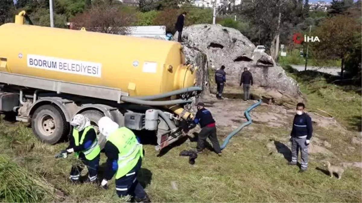 Binlerce yıllık kaya mezarları turizme kazandırmak için kolları sıvadılar