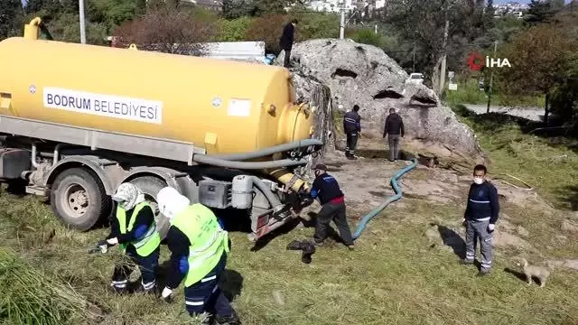 Binlerce yıllık kaya mezarları turizme kazandırmak için kolları sıvadılar Binlerce yıllık kaya mezarları turizme kazandırmak için kolları sıvadılar