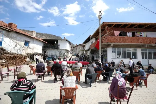Bozuk ormanlık alanlar 'Yeşil Altın'a dönüyor Bozuk ormanlık alanlar 'Yeşil Altın'a dönüyor