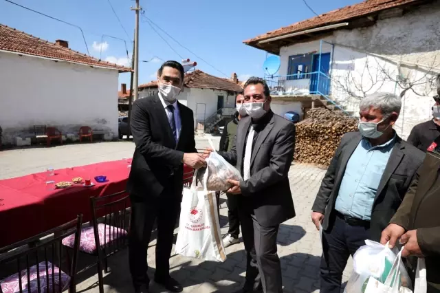 Bozuk ormanlık alanlar 'Yeşil Altın'a dönüyor Bozuk ormanlık alanlar 'Yeşil Altın'a dönüyor