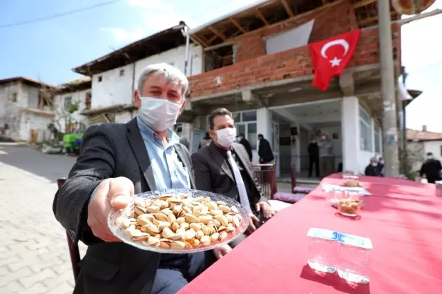 Bozuk ormanlık alanlar 'Yeşil Altın'a dönüyor Bozuk ormanlık alanlar 'Yeşil Altın'a dönüyor