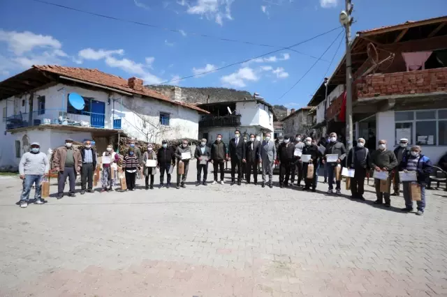 Bozuk ormanlık alanlar 'Yeşil Altın'a dönüyor Bozuk ormanlık alanlar 'Yeşil Altın'a dönüyor