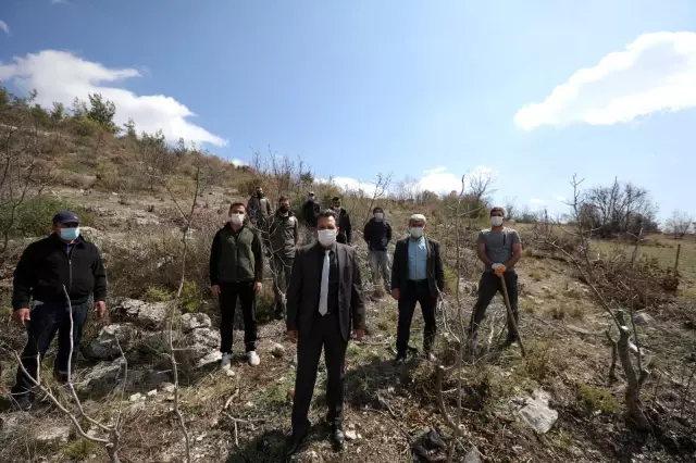 Bozuk ormanlık alanlar 'Yeşil Altın'a dönüyor Bozuk ormanlık alanlar 'Yeşil Altın'a dönüyor