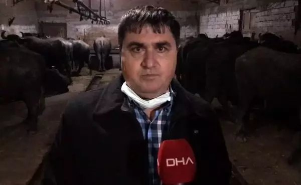 BU MAHALLENİN GEÇİMİ MANDA SÜTÜ VE KAYMAĞINDAN BU MAHALLENİN GEÇİMİ MANDA SÜTÜ VE KAYMAĞINDAN