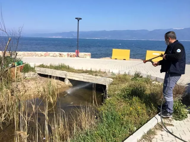Burhaniye'de 365 gün haşere mücadelesi Burhaniye'de 365 gün haşere mücadelesi