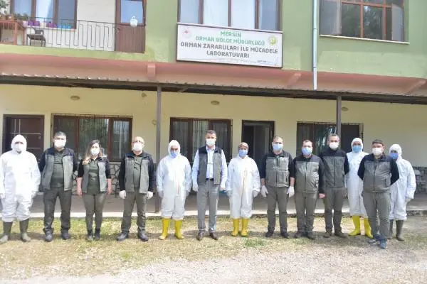 Doğaya 'terminatör böcekler' salındı Doğaya 'terminatör böcekler' salındı
