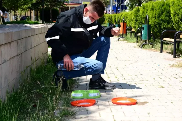 Can dostlarımız susuz kalmayacak Can dostlarımız susuz kalmayacak