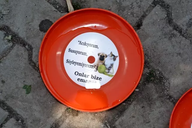 Can dostlarımız susuz kalmayacak Can dostlarımız susuz kalmayacak