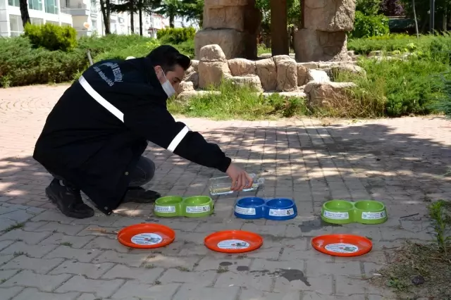 Can dostlarımız susuz kalmayacak Can dostlarımız susuz kalmayacak