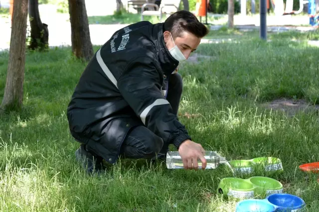 Can dostlarımız susuz kalmayacak Can dostlarımız susuz kalmayacak