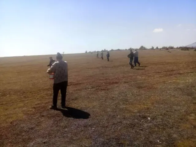 Çavdarhisar'da meralar gübrelendi Çavdarhisar'da meralar gübrelendi
