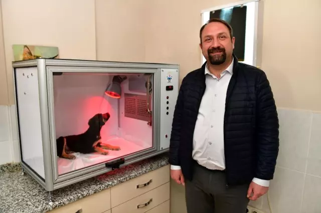 Çiğli Belediyesinden hayvan dostu proje: Yoğun Bakım Ünitesi Çiğli Belediyesinden hayvan dostu proje: Yoğun Bakım Ünitesi