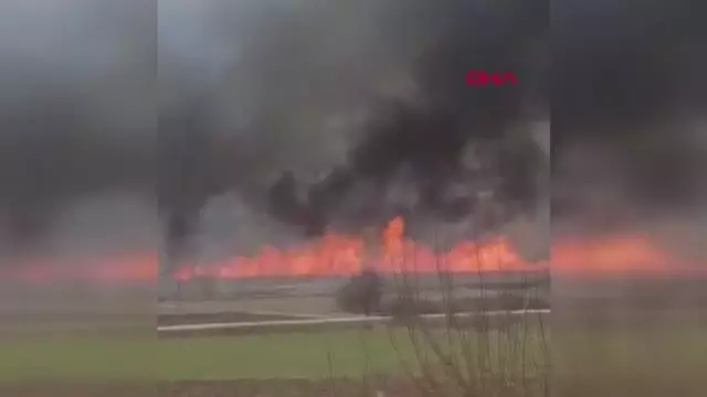 ÇORUM GÖLÜNYAZI KUŞ CENNETİ'NDE YANGIN ÇORUM GÖLÜNYAZI KUŞ CENNETİ'NDE YANGIN