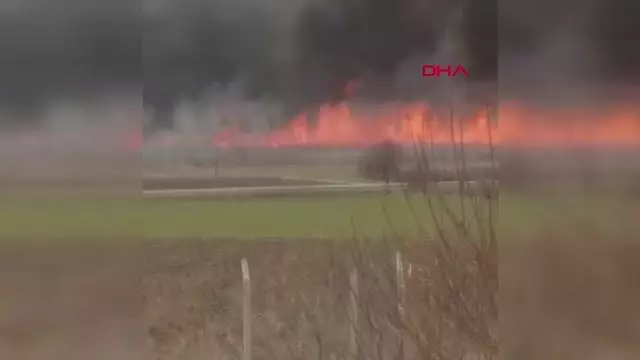 ÇORUM GÖLÜNYAZI KUŞ CENNETİ'NDE YANGIN ÇORUM GÖLÜNYAZI KUŞ CENNETİ'NDE YANGIN