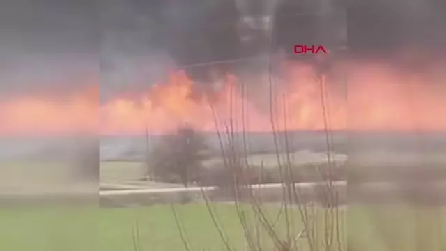 ÇORUM GÖLÜNYAZI KUŞ CENNETİ'NDE YANGIN ÇORUM GÖLÜNYAZI KUŞ CENNETİ'NDE YANGIN