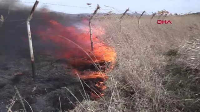 ÇORUM GÖLÜNYAZI KUŞ CENNETİ'NDE YANGIN SÖNDÜRÜLDÜ, ZARAR BÜYÜK ÇORUM GÖLÜNYAZI KUŞ CENNETİ'NDE YANGIN SÖNDÜRÜLDÜ, ZARAR BÜYÜK