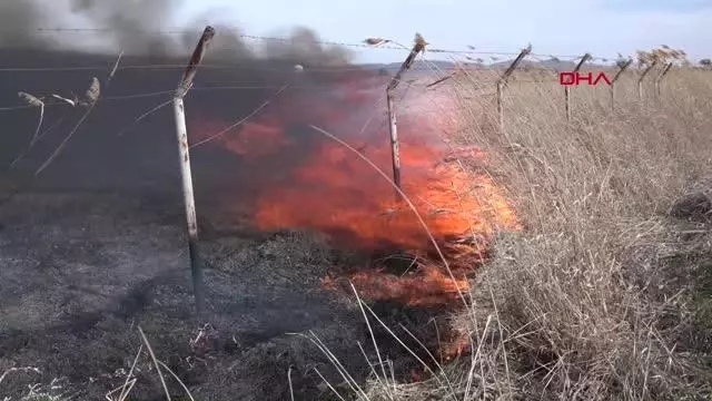 ÇORUM GÖLÜNYAZI KUŞ CENNETİ'NDE YANGIN SÖNDÜRÜLDÜ, ZARAR BÜYÜK ÇORUM GÖLÜNYAZI KUŞ CENNETİ'NDE YANGIN SÖNDÜRÜLDÜ, ZARAR BÜYÜK