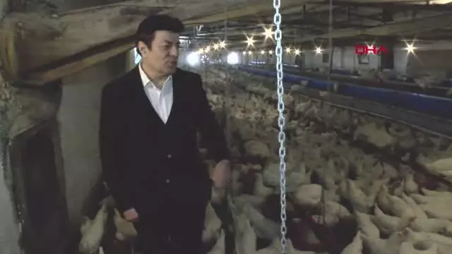 COŞKUN SABAH, ESKİŞEHİR'DE TAVUK ÇİFTLİĞİ KURDU COŞKUN SABAH, ESKİŞEHİR'DE TAVUK ÇİFTLİĞİ KURDU