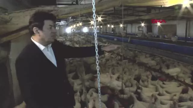 COŞKUN SABAH, ESKİŞEHİR'DE TAVUK ÇİFTLİĞİ KURDU COŞKUN SABAH, ESKİŞEHİR'DE TAVUK ÇİFTLİĞİ KURDU