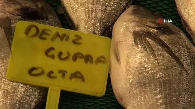 Daha taze ve ucuz balık için son 7 gün Daha taze ve ucuz balık için son 7 gün