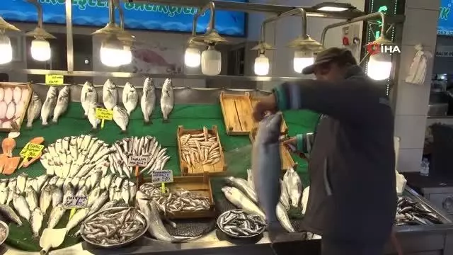 Daha taze ve ucuz balık için son 7 gün Daha taze ve ucuz balık için son 7 gün