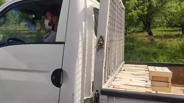 Datça'da Kovid-19 ve genel asayiş denetimi yapıldı Datça'da Kovid-19 ve genel asayiş denetimi yapıldı