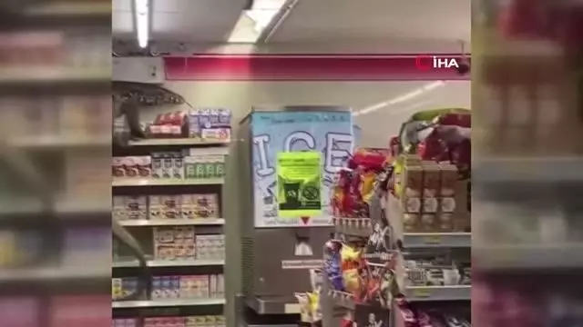 Dev kertenkele girdiği markette paniğe neden oldu Dev kertenkele girdiği markette paniğe neden oldu