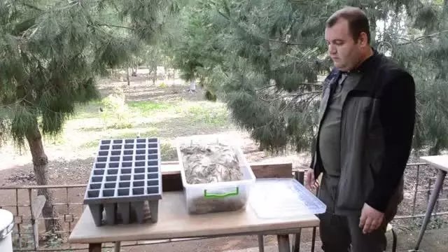 Doğaya 'terminatör böcekler' salındı Doğaya 'terminatör böcekler' salındı
