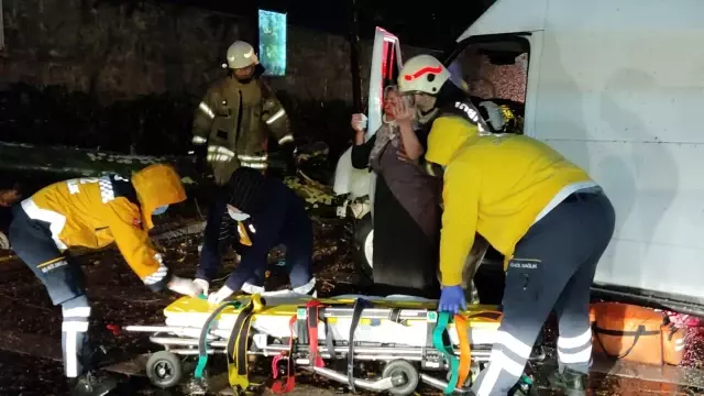 Dolmabahçe'de kontrolden çıkan minibüs önce ağaca sonra direğe çarptı: 1 yaralı Dolmabahçe'de kontrolden çıkan minibüs önce ağaca sonra direğe çarptı: 1 yaralı