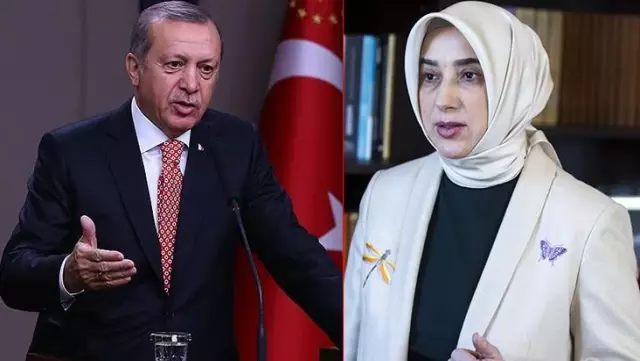 Fitneciler Fitneciler