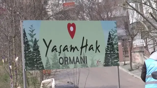 ESKİŞEHİR - CHP Kadın Kolları tarafından 'Yaşam Hak Ormanı' oluşturuldu ESKİŞEHİR - CHP Kadın Kolları tarafından 'Yaşam Hak Ormanı' oluşturuldu