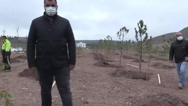 ESKİŞEHİR - CHP Kadın Kolları tarafından 'Yaşam Hak Ormanı' oluşturuldu ESKİŞEHİR - CHP Kadın Kolları tarafından 'Yaşam Hak Ormanı' oluşturuldu