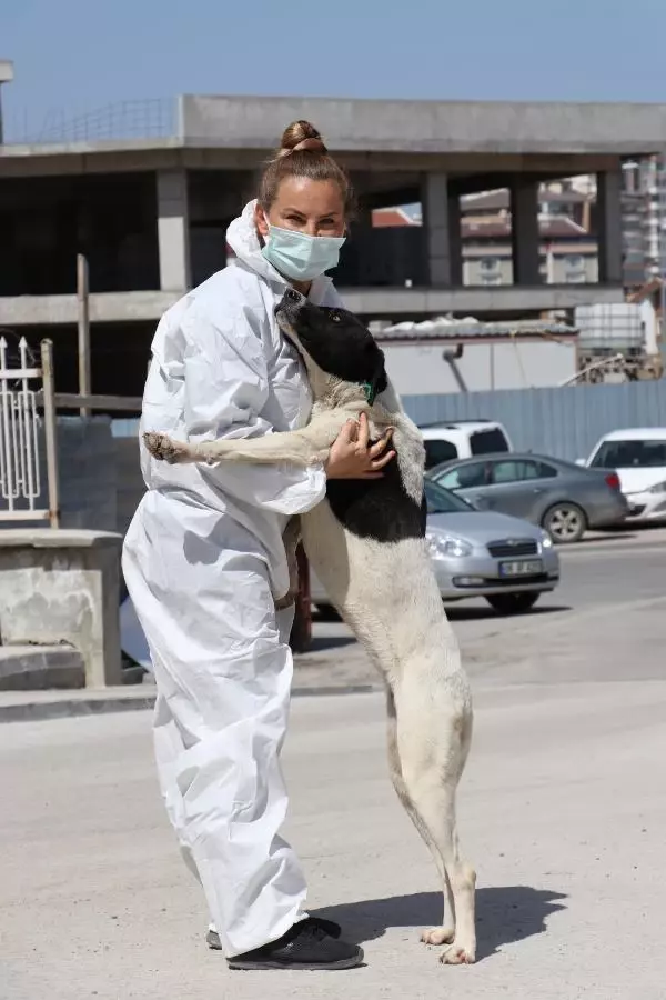 ANKARA Filyasyon ekibinin moral kaynağı 'Filyasyoncu Nazlı' ANKARA Filyasyon ekibinin moral kaynağı 'Filyasyoncu Nazlı'