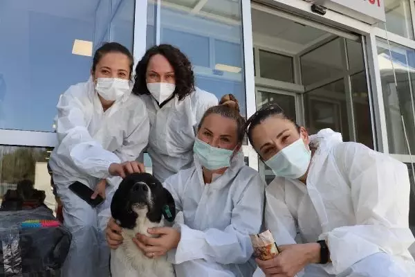 ANKARA Filyasyon ekibinin moral kaynağı 'Filyasyoncu Nazlı' ANKARA Filyasyon ekibinin moral kaynağı 'Filyasyoncu Nazlı'