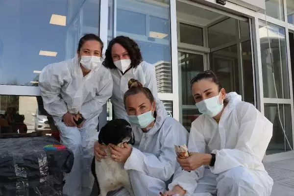 ANKARA Filyasyon ekibinin moral kaynağı 'Filyasyoncu Nazlı' ANKARA Filyasyon ekibinin moral kaynağı 'Filyasyoncu Nazlı'