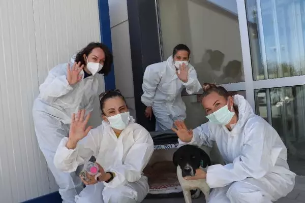 ANKARA Filyasyon ekibinin moral kaynağı 'Filyasyoncu Nazlı' ANKARA Filyasyon ekibinin moral kaynağı 'Filyasyoncu Nazlı'