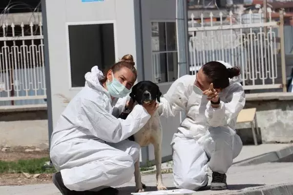 ANKARA Filyasyon ekibinin moral kaynağı 'Filyasyoncu Nazlı' ANKARA Filyasyon ekibinin moral kaynağı 'Filyasyoncu Nazlı'