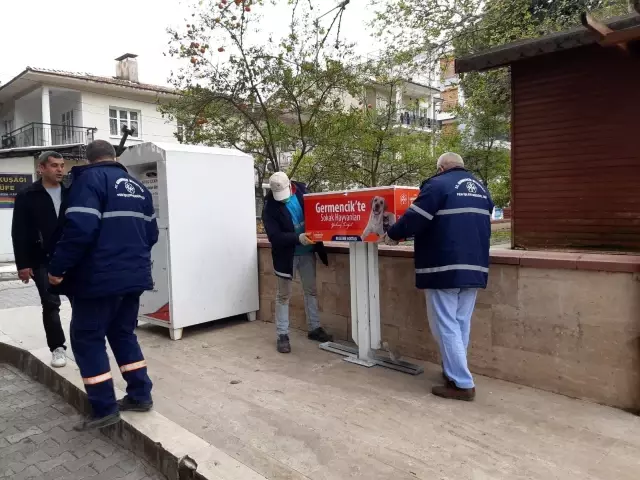 Germencik Belediyesi sokak hayvanları için beslenme noktaları kuruldu Germencik Belediyesi sokak hayvanları için beslenme noktaları kuruldu