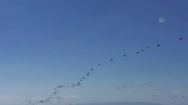 Göç eden pelikanlar ilgi çekti Göç eden pelikanlar ilgi çekti