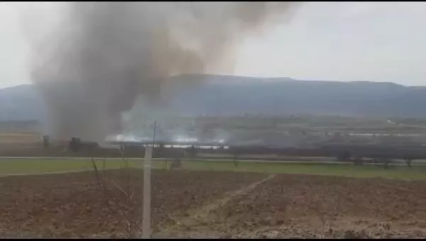 ÇORUM GÖLÜNYAZI KUŞ CENNETİ'NDE YANGIN ÇORUM GÖLÜNYAZI KUŞ CENNETİ'NDE YANGIN