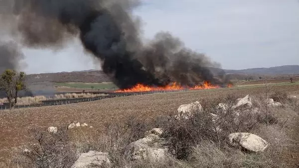 Son dakika: Gölünyazı Kuş Cenneti'nde yangın (2) Son dakika: Gölünyazı Kuş Cenneti'nde yangın (2)