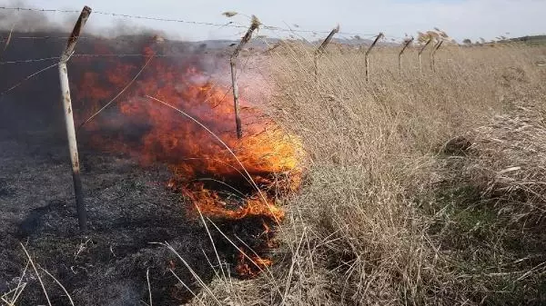 Son dakika: Gölünyazı Kuş Cenneti'nde yangın (2) Son dakika: Gölünyazı Kuş Cenneti'nde yangın (2)