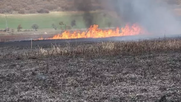 Son dakika: Gölünyazı Kuş Cenneti'nde yangın (2) Son dakika: Gölünyazı Kuş Cenneti'nde yangın (2)