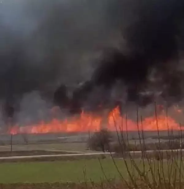 ÇORUM GÖLÜNYAZI KUŞ CENNETİ'NDE YANGIN ÇORUM GÖLÜNYAZI KUŞ CENNETİ'NDE YANGIN