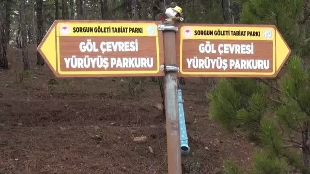 Güdül'de Sorkun Mahallesi ziyaretçilerine doyumsuz doğa manzaraları vadediyor Güdül'de Sorkun Mahallesi ziyaretçilerine doyumsuz doğa manzaraları vadediyor