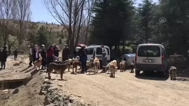 Hayvan barınağında mama hırsızlarına karşı kameralı önlem Hayvan barınağında mama hırsızlarına karşı kameralı önlem
